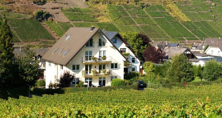 Ferienhaus Zenz - Ferienwohungen ارنست المظهر الخارجي الصورة